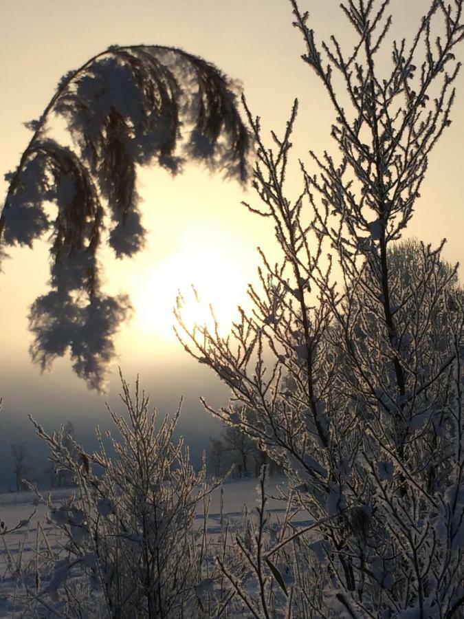 Апартаменти Zur Lieben Sonne Фільцмос Екстер'єр фото